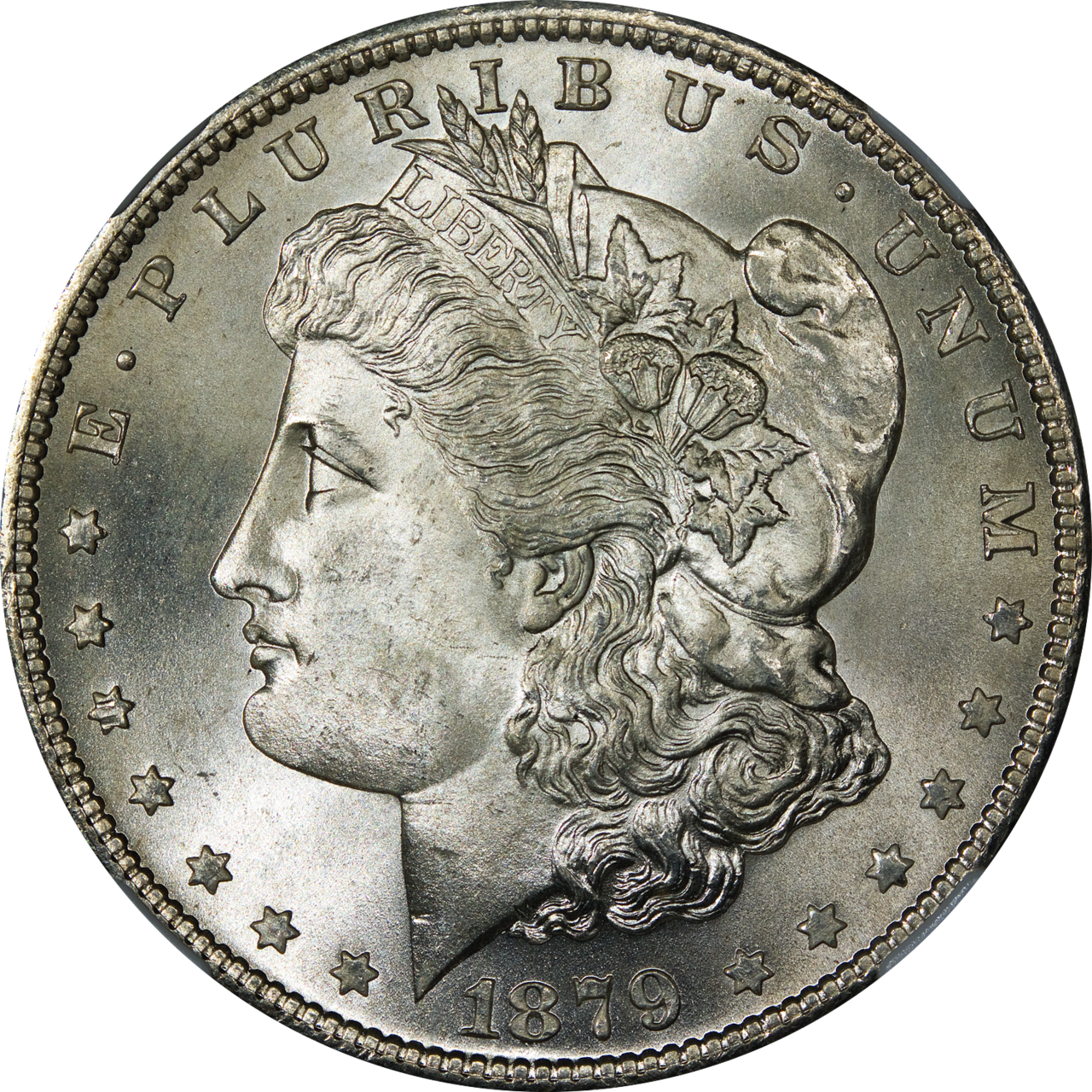 Morgan Silver Dollars